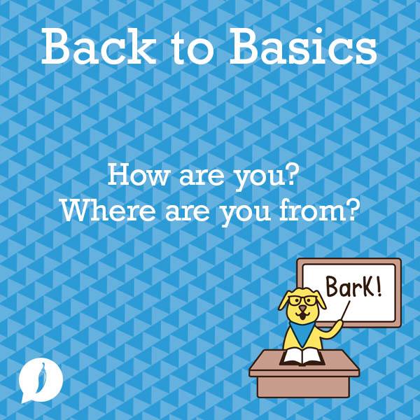 11219055_995130370509595_930149324175053971_n