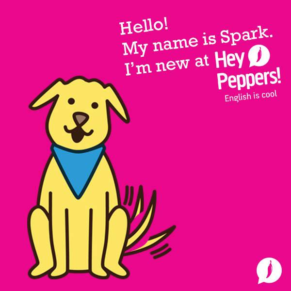 12038376_994777023878263_7420873959736218988_n